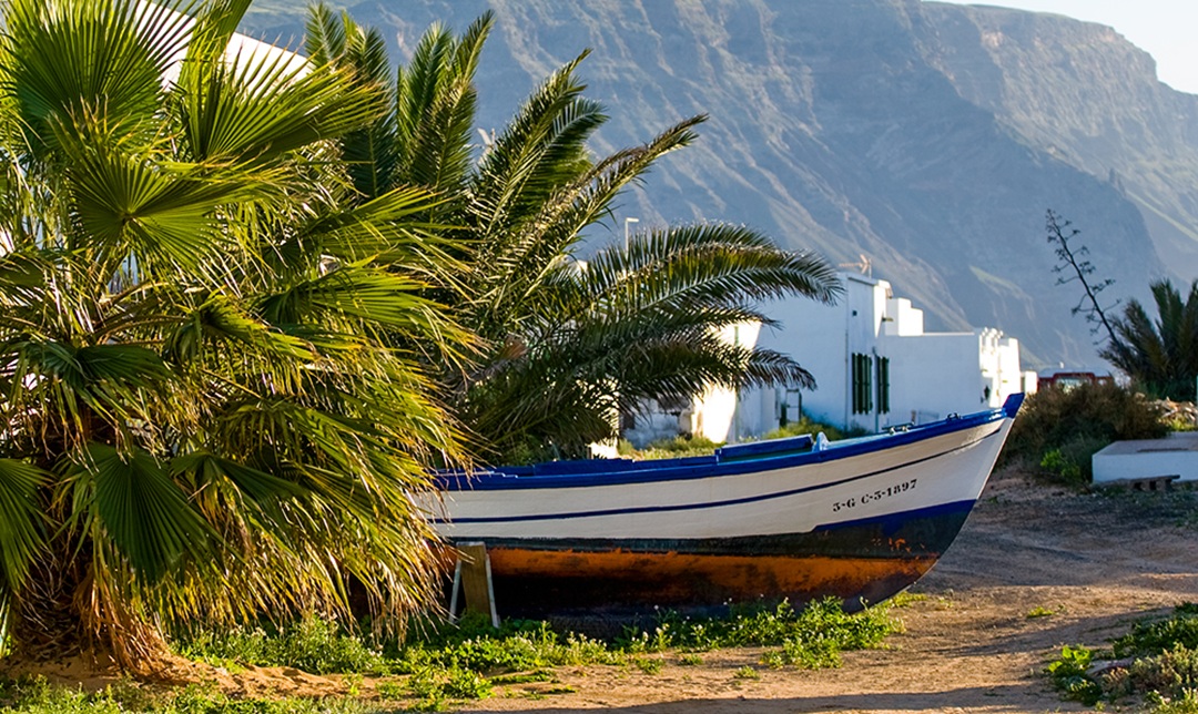 Barco y Palmeras